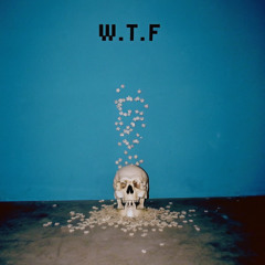 W. T. F
