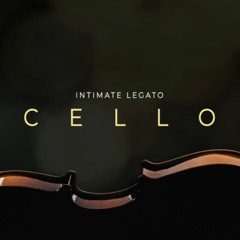 Hidden Life | feat. Sonixinema Intimate Cello