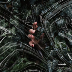 Carmotils - Take Me