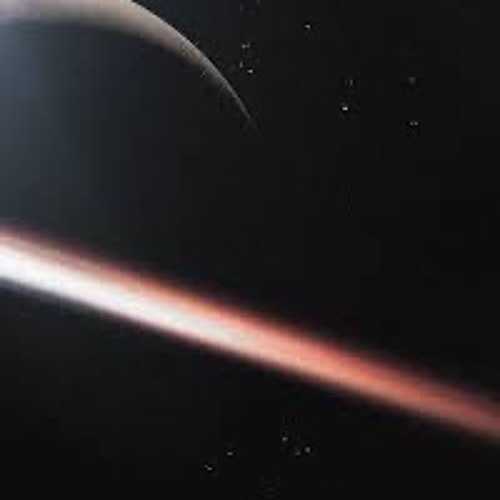Muons