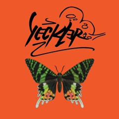Flutter