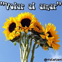 Volar al amar