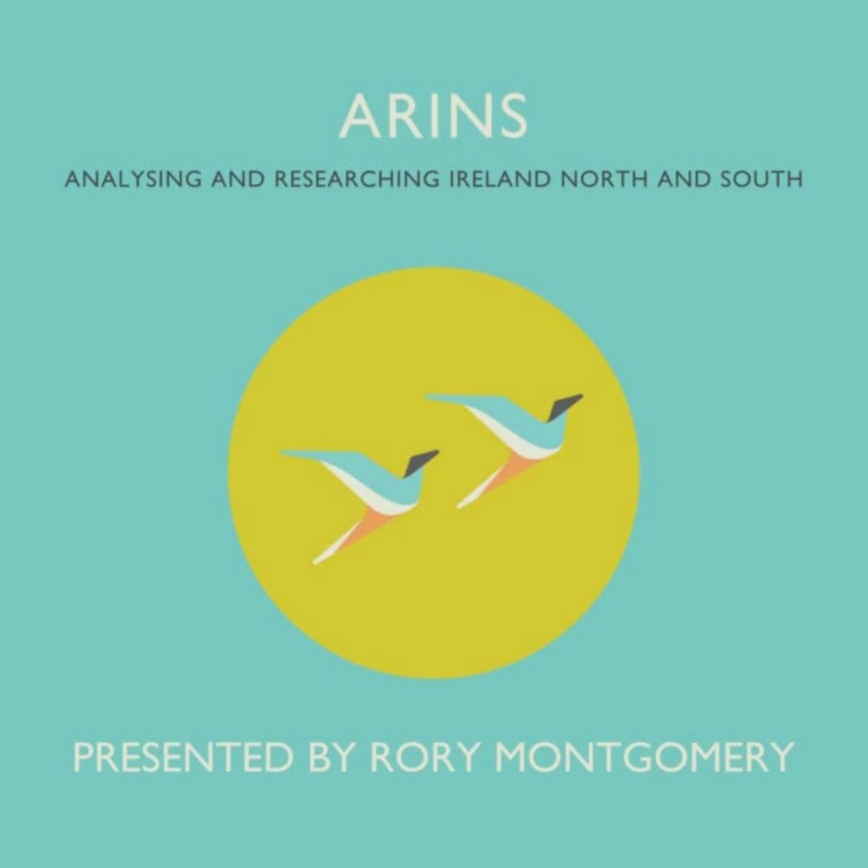 ARINS: Common Ground: A new Irish Times project