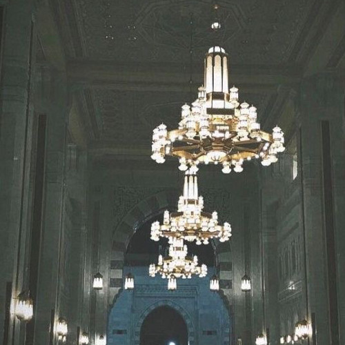 ٱلَّذِينَ ءَامَنُواْ يُقَٰتِلُونَ فِى سَبِيلِ ٱللَّه- ش. بندر بليلة