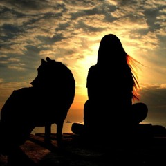 Two Wolves On Sunset