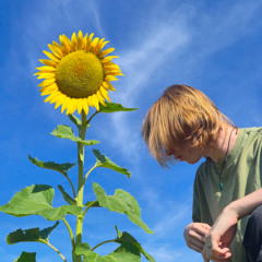 s t a r . ✧ * ᵈ ᵘ ˢ ᵗ