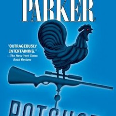 Potshot, Spenser Book 28# !Online=
