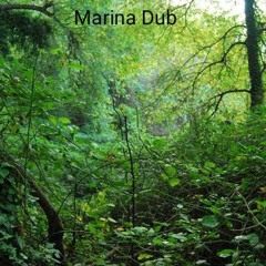 Marina Dub