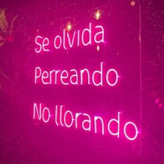 PERREO SPOTIFY - DJ RAN