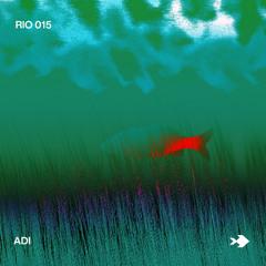 Rio 015 - Adi (recorded live at Bonanza 2025)