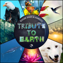 Tribute to Earth (Mixed)