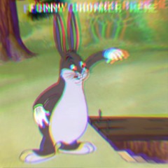 FUNNY CHONKER MEME - a medium chungus megalo