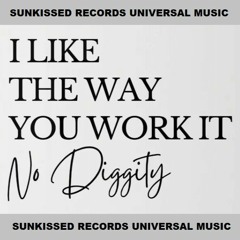 NO DIGGITY - Blackstreet & Dr. Dre - SK REMIX
