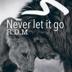 Never let it go (DEMO)