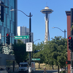 Seattle Traffic Light