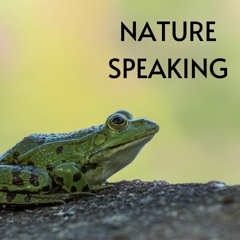 Nature Speaking - Frogs in BC