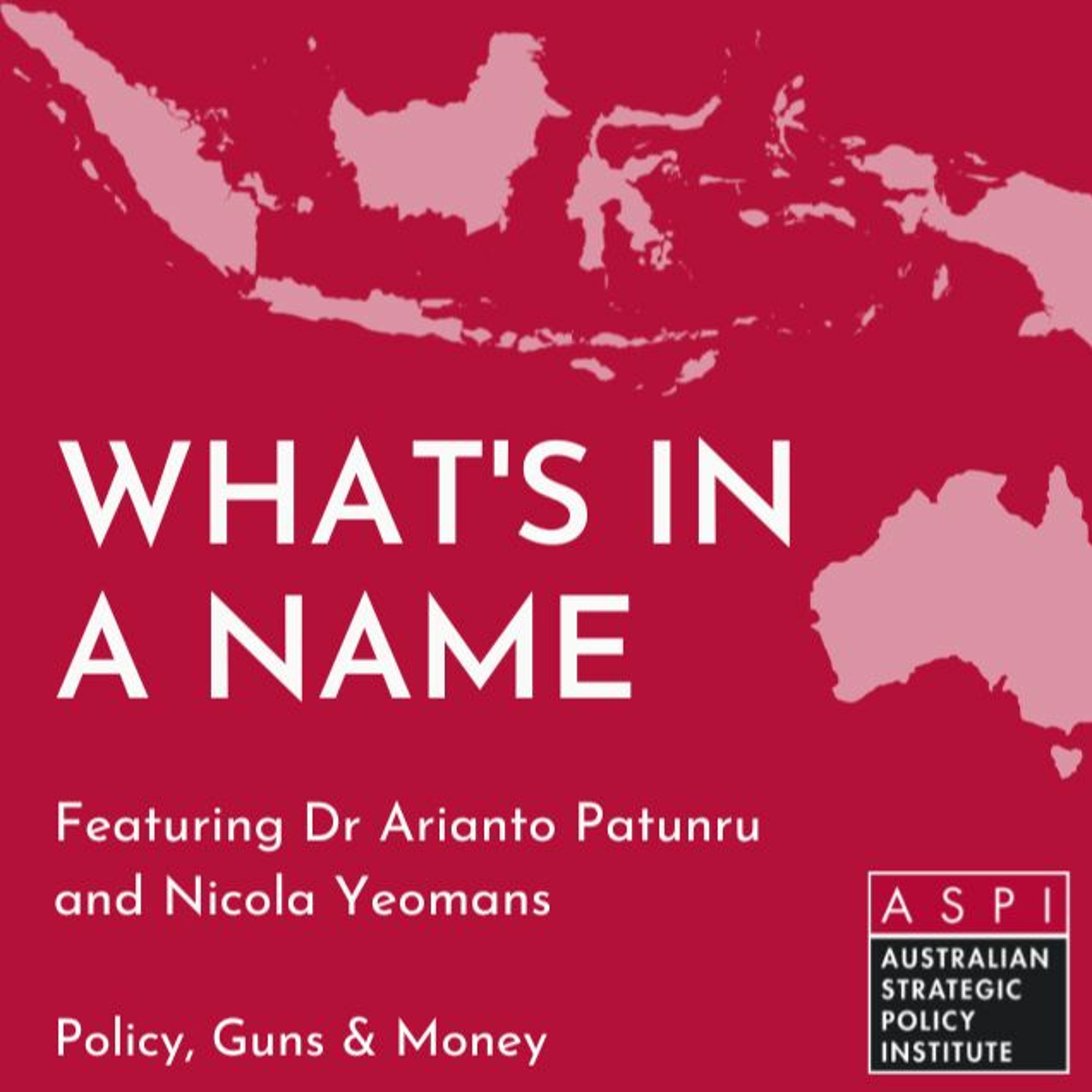 ASPI Podcast: Policy, Guns & Money