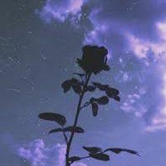 LoveShakin'(A BM Story) ft Ali - Moments of Clarity