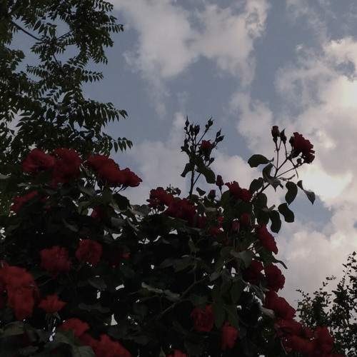 ‎⁨نادَيتُكِ لَو تَسمَعِي | بِلَال الأحمَد.