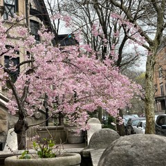 spoken4 (felix x mut4t3d)