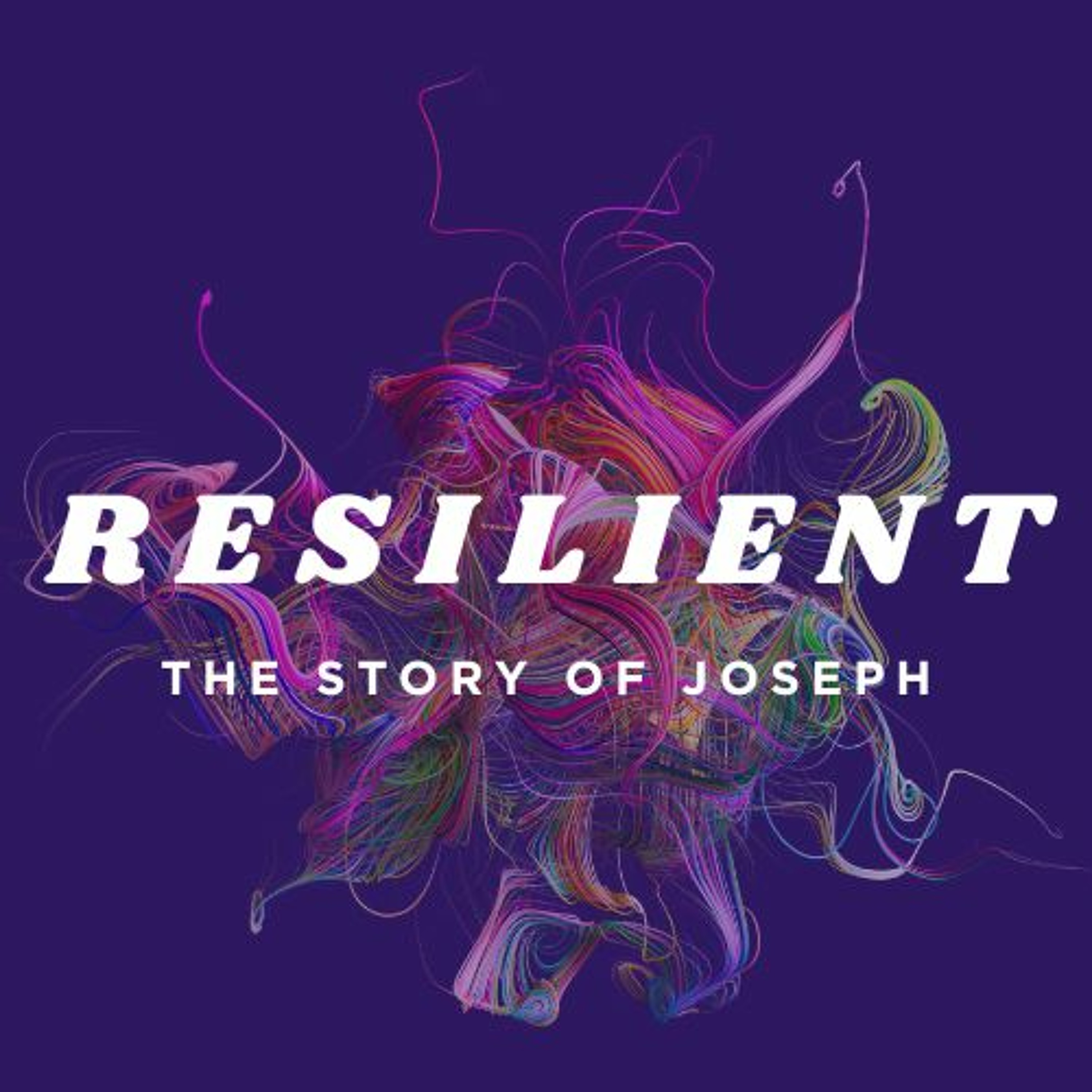 Sunday 12th November - Take a pitstop // Thomas Urquhart