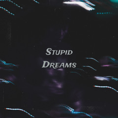 Stupid Dreams