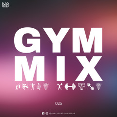 GYM MIX 025