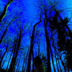 RISK FREESTYLE - (prod. by The Alchemist)