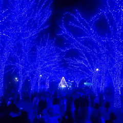 found ( symelz ) ロ