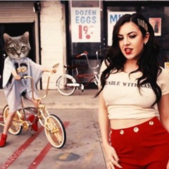 Drop That Kitty Down Low - VirtualDJ R3MIX