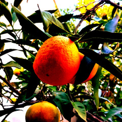 HappySundayMorning133bpm11.24