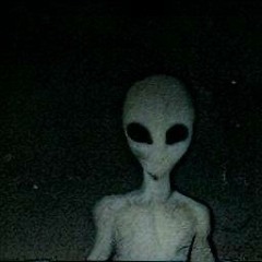 ufo freestyle 3025