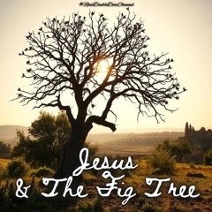 #TruthSeekersMastermindAlliance - Jesus and The Fig Tree