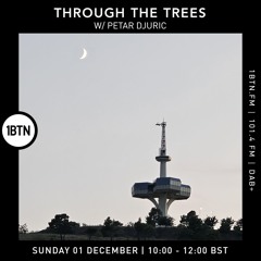 Through The Trees w/ Petar Djuric - 01.12.24