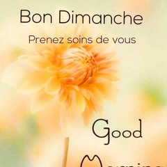 Bon dimanche à tous