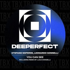 Premiere: Stefano Noferini, Leonardo Gonnelli - You Can See (Luca Donzelli Remix) [Deeperfect]