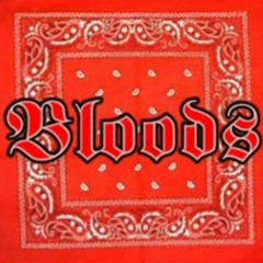 [FREE] SPOTEMGOTTEM X NLE Choppa Type Beat Rules