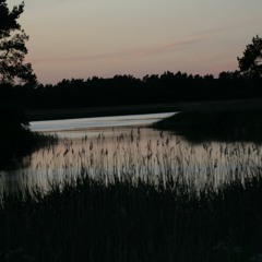 Neu