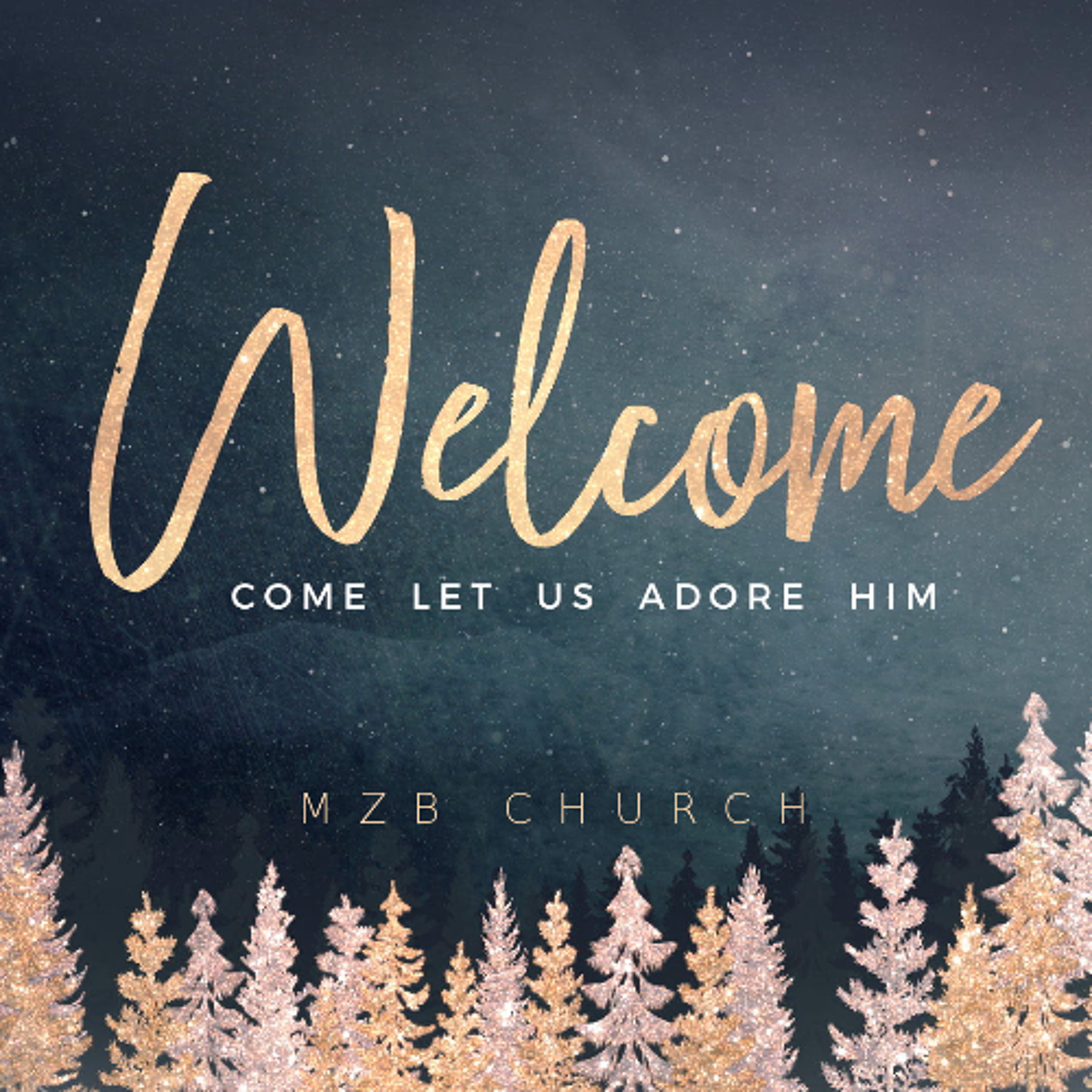 Mt Zion Baptist Church Sermons (Pastor Israel Price)