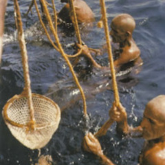 Within Cultures: Pearl Diving in the Arabian Gulf from Anthropological Perspective (29.07.25)