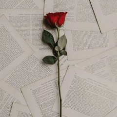 Đơn Phương Tiền Truyện  Chuột Sấm Sét Xx Juan Phi