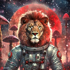 Set - Sky Lion