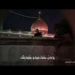 معرفتي يا مولاي دليلي عليك السيد مصطفى الموسوي