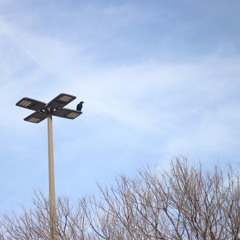 You're Gonna Miss Me (Connie Francis cover)