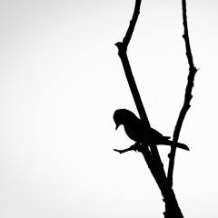 I'm Sorry Again, Again