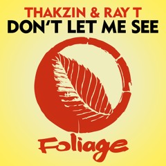 Thakzin & Ray T – Don’t Let Me See (Original Mix)
