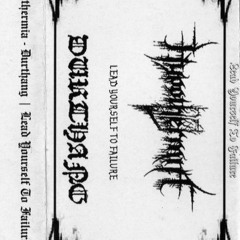 Hypothermia - Lid