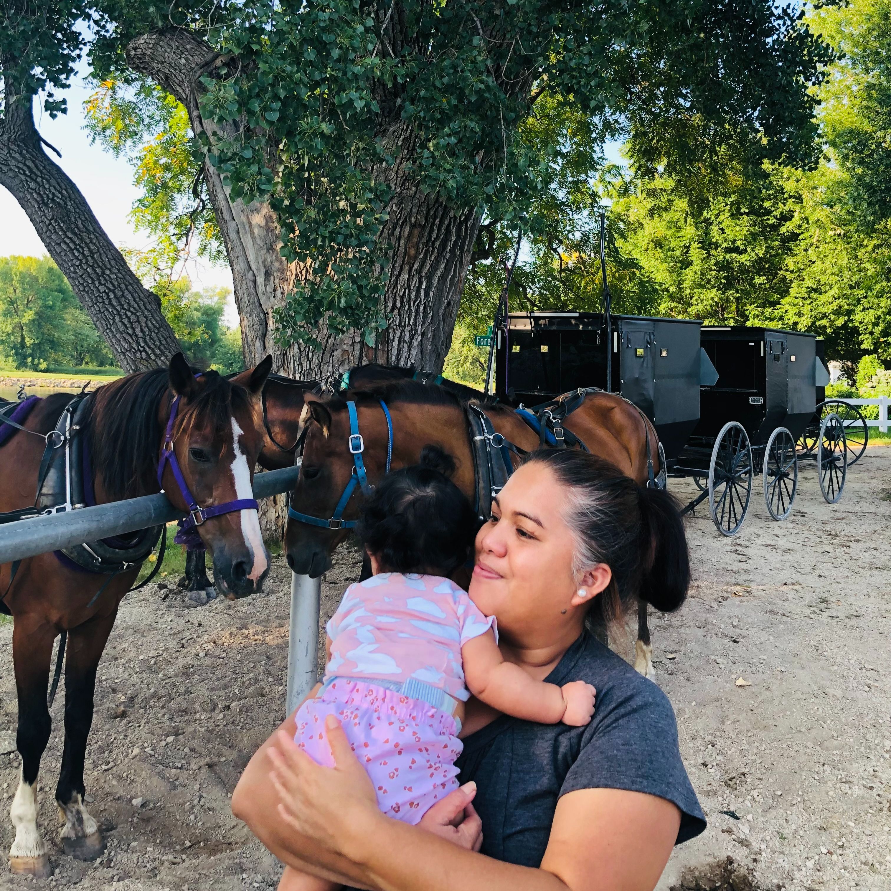 Limpoak sohtoa limit ih