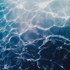 Oasis