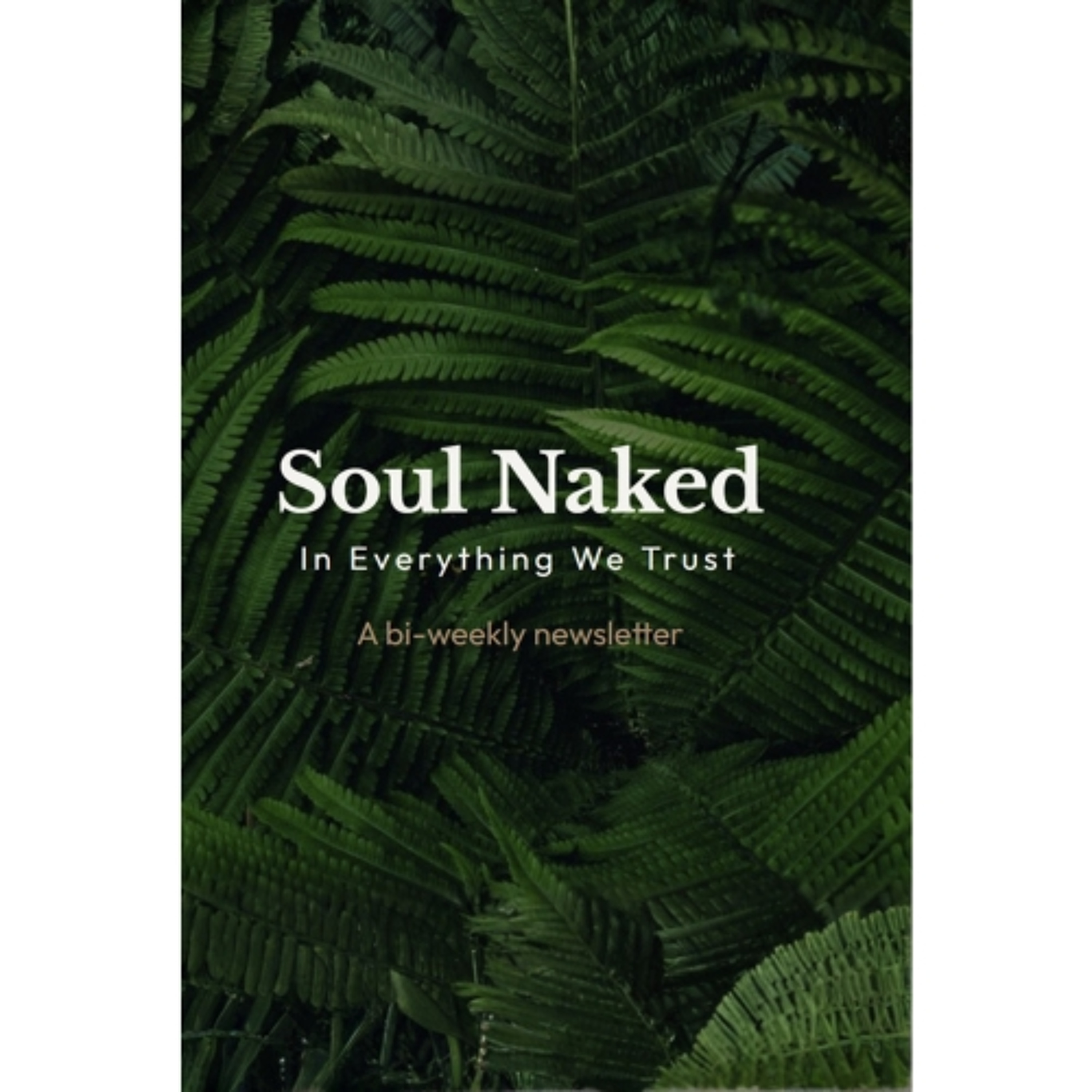 Podcast 1291: Soul Naked: In Everything We Trust by Sylvia Solit episode artwork
